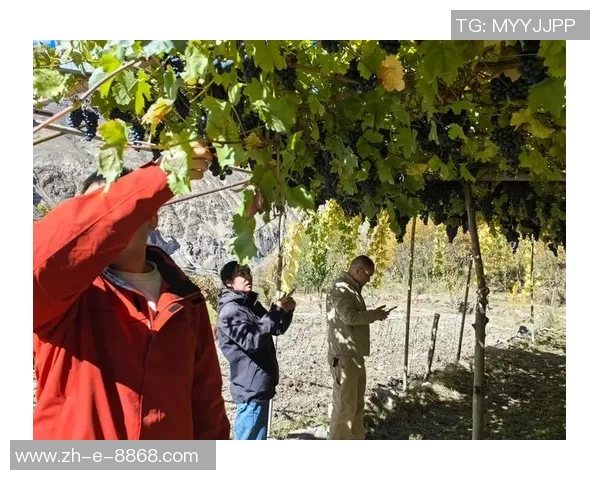 八宿队足球球星合影展示团结与奋进精神彰显球员风采与团队合作精神