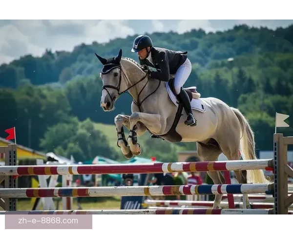 骑马运动：从入门到精通