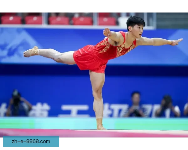 体操公开赛：闪耀舞台，梦想初现