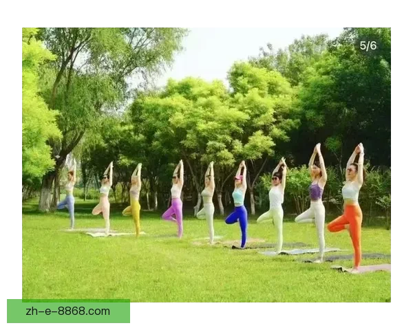 全新挑战！瑜伽锦标赛璀璨辉煌 绽放夺目风采