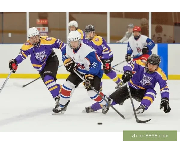 冰球独门技艺：提升技能，征服赛场