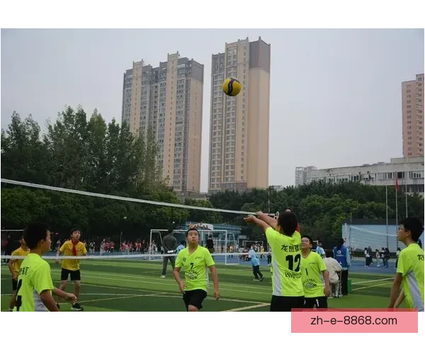 学习排球技巧,提升球感,轻松掌握比赛要点 学习排球技巧,提升球感,轻松掌握比赛要点