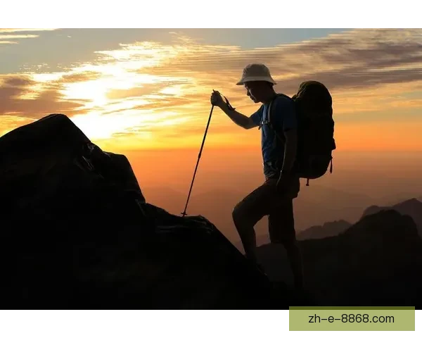 征战巔峰：挑戰極限的登山公開賽