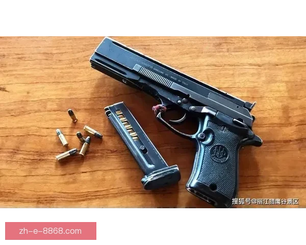 探寻枪械之美：射击直播背后的真实世界